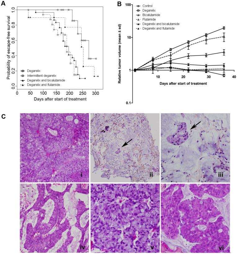 https://cdn.ncbi.nlm.nih.gov/pmc/blobs/99d0/3412862/91543c33f273/pone.0042252.g001.jpg