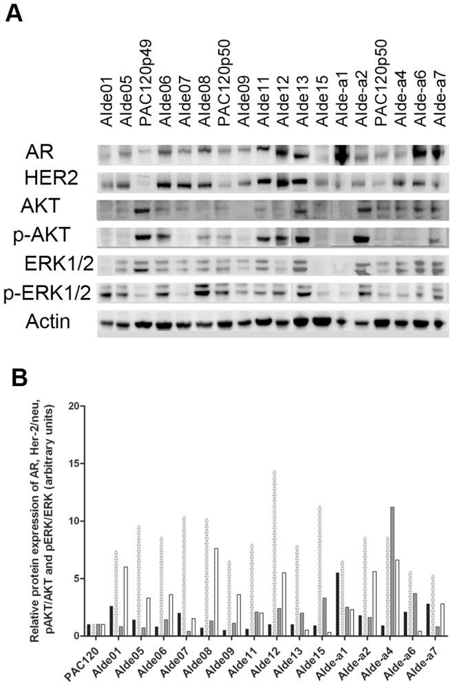 https://cdn.ncbi.nlm.nih.gov/pmc/blobs/99d0/3412862/c365e9a1f455/pone.0042252.g004.jpg