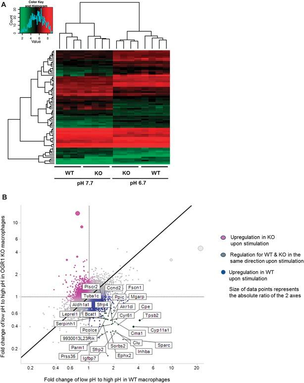 https://cdn.ncbi.nlm.nih.gov/pmc/blobs/99d2/4450952/2a3e0a884996/ibd-21-1269-g006.jpg
