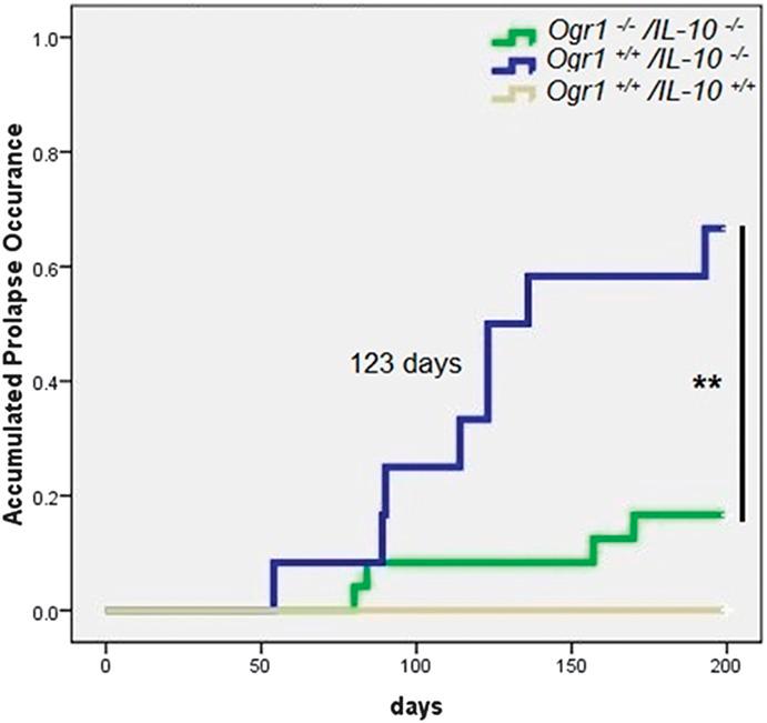 https://cdn.ncbi.nlm.nih.gov/pmc/blobs/99d2/4450952/48eeda34fc8a/ibd-21-1269-g007.jpg