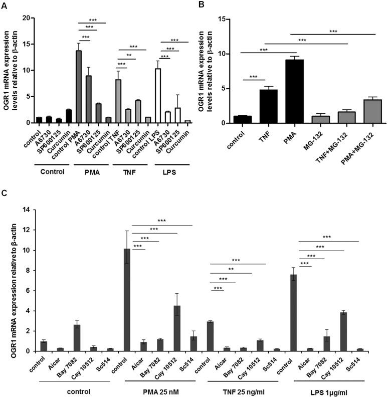 https://cdn.ncbi.nlm.nih.gov/pmc/blobs/99d2/4450952/c25986a2310d/ibd-21-1269-g005.jpg