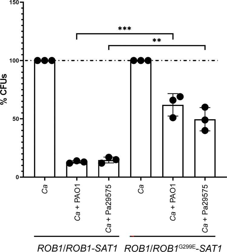 https://cdn.ncbi.nlm.nih.gov/pmc/blobs/99d4/11037546/08a49e0aa76e/ppat.1012154.g008.jpg