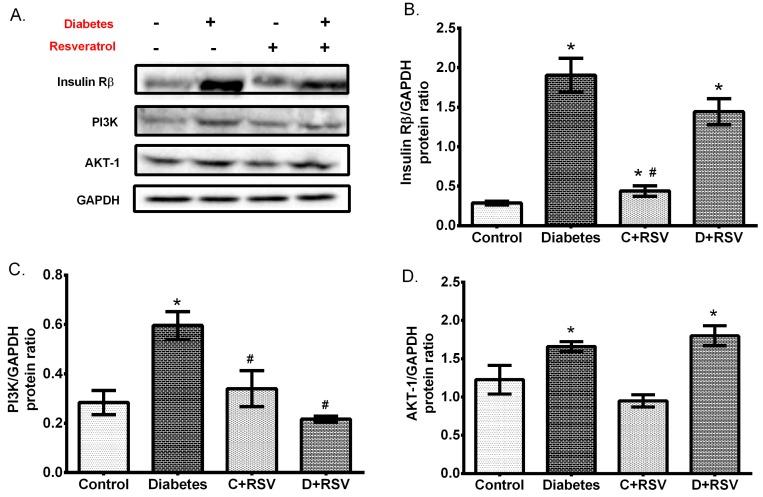 https://cdn.ncbi.nlm.nih.gov/pmc/blobs/99d4/6359117/1067ac03ec9e/medicina-55-00003-g005.jpg