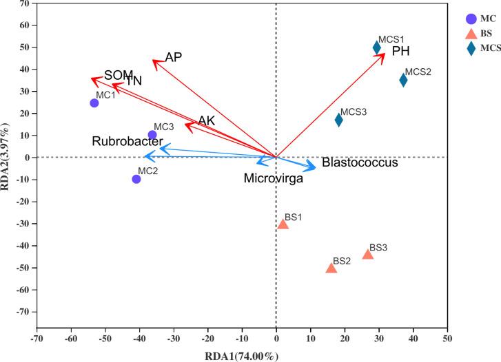 https://cdn.ncbi.nlm.nih.gov/pmc/blobs/99d5/11391072/73107bac6e5a/41598_2024_71927_Fig6_HTML.jpg