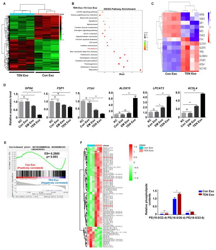 https://cdn.ncbi.nlm.nih.gov/pmc/blobs/99d5/11781181/3a8f68b685db/ijbsv21p1275g002.jpg