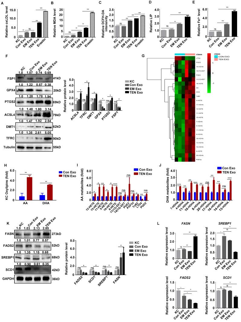 https://cdn.ncbi.nlm.nih.gov/pmc/blobs/99d5/11781181/97f8de810354/ijbsv21p1275g003.jpg