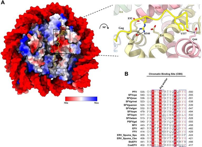 https://cdn.ncbi.nlm.nih.gov/pmc/blobs/99d5/12125541/07a0818e8d35/gkaf449fig1.jpg