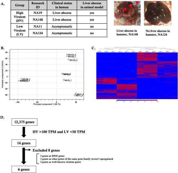 https://cdn.ncbi.nlm.nih.gov/pmc/blobs/99d5/12210921/66774e93b71f/spectrum.00506-25.f001.jpg