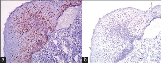 https://cdn.ncbi.nlm.nih.gov/pmc/blobs/99d5/12283042/1b23f24413e0/JOMFP-29-286-g004.jpg