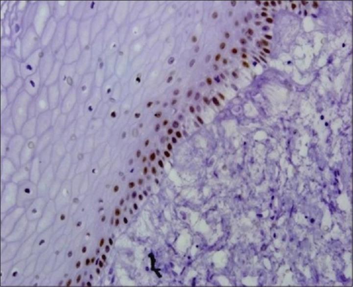 https://cdn.ncbi.nlm.nih.gov/pmc/blobs/99d5/12283042/6ff0f3c89802/JOMFP-29-286-g005.jpg