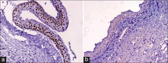 https://cdn.ncbi.nlm.nih.gov/pmc/blobs/99d5/12283042/f7dff93f93ff/JOMFP-29-286-g003.jpg