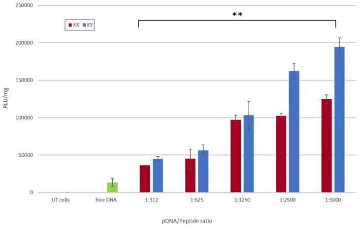 https://cdn.ncbi.nlm.nih.gov/pmc/blobs/99d6/7023140/1f16001d9016/biomolecules-10-00007-g012.jpg