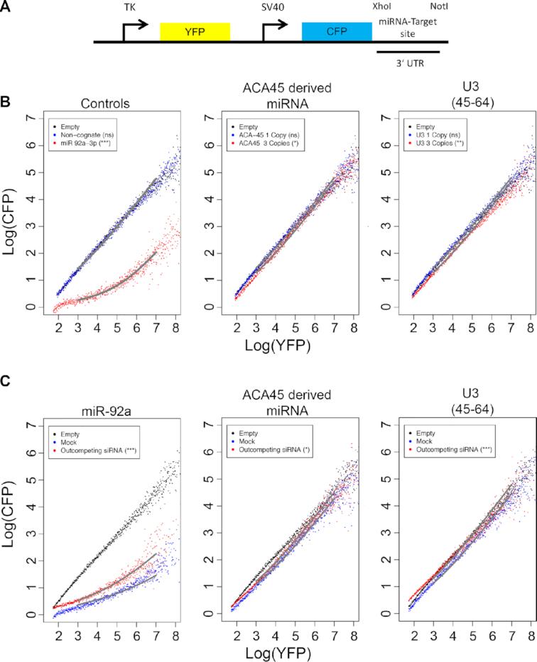 https://cdn.ncbi.nlm.nih.gov/pmc/blobs/99d6/7430653/1ccf767db713/gkaa549fig3.jpg