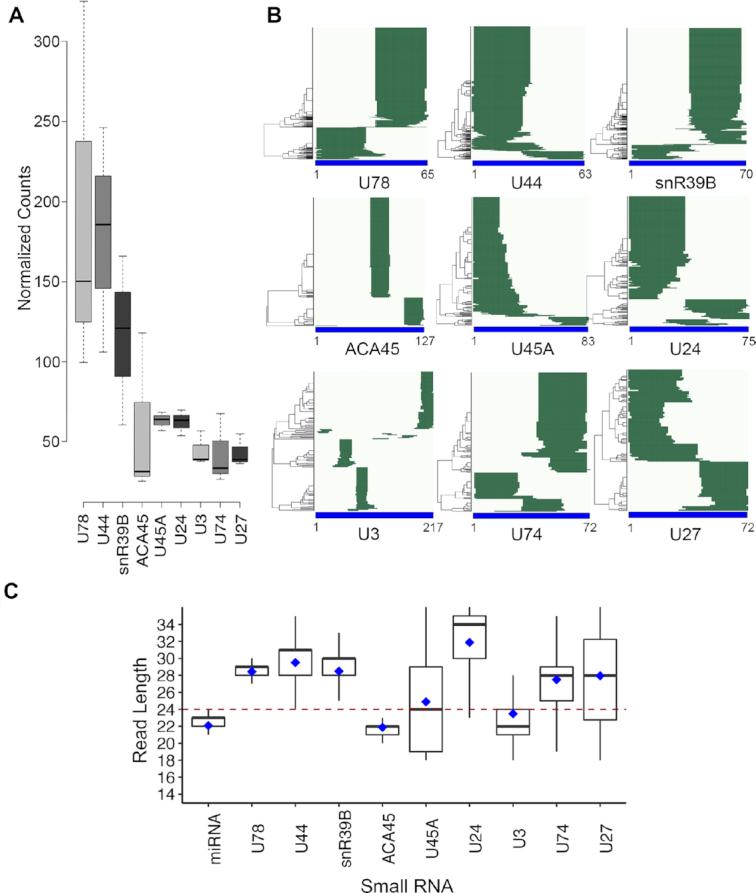 https://cdn.ncbi.nlm.nih.gov/pmc/blobs/99d6/7430653/79e329f156b5/gkaa549fig1.jpg