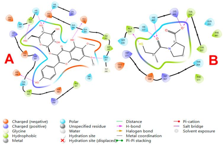 https://cdn.ncbi.nlm.nih.gov/pmc/blobs/99d7/11676204/5fa9eca07e3d/pharmaceutics-16-01628-g002.jpg