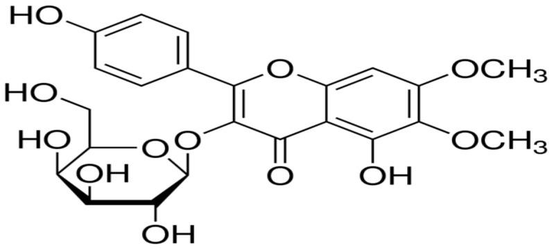 https://cdn.ncbi.nlm.nih.gov/pmc/blobs/99d7/11676204/ccc960d72161/pharmaceutics-16-01628-g001.jpg