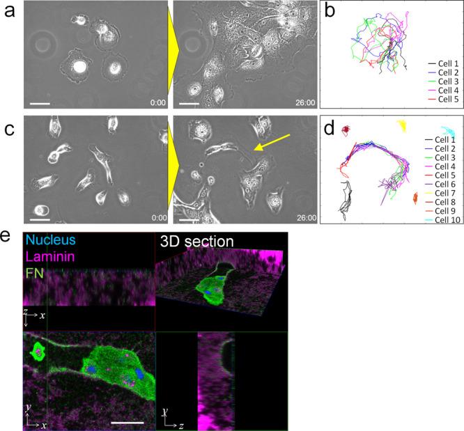 https://cdn.ncbi.nlm.nih.gov/pmc/blobs/99d7/8239002/2e9d5a91cb5c/42003_2021_2350_Fig3_HTML.jpg