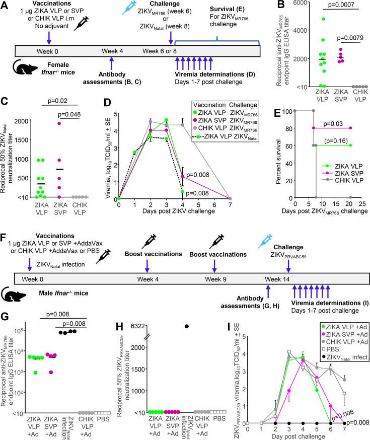 https://cdn.ncbi.nlm.nih.gov/pmc/blobs/99d9/11998496/7b0ad4c0d837/jvi.02322-24.f003.jpg