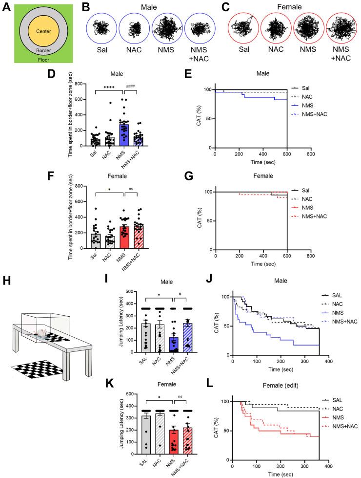 https://cdn.ncbi.nlm.nih.gov/pmc/blobs/99da/11528454/706229203b9b/ijbsv20p5450g004.jpg