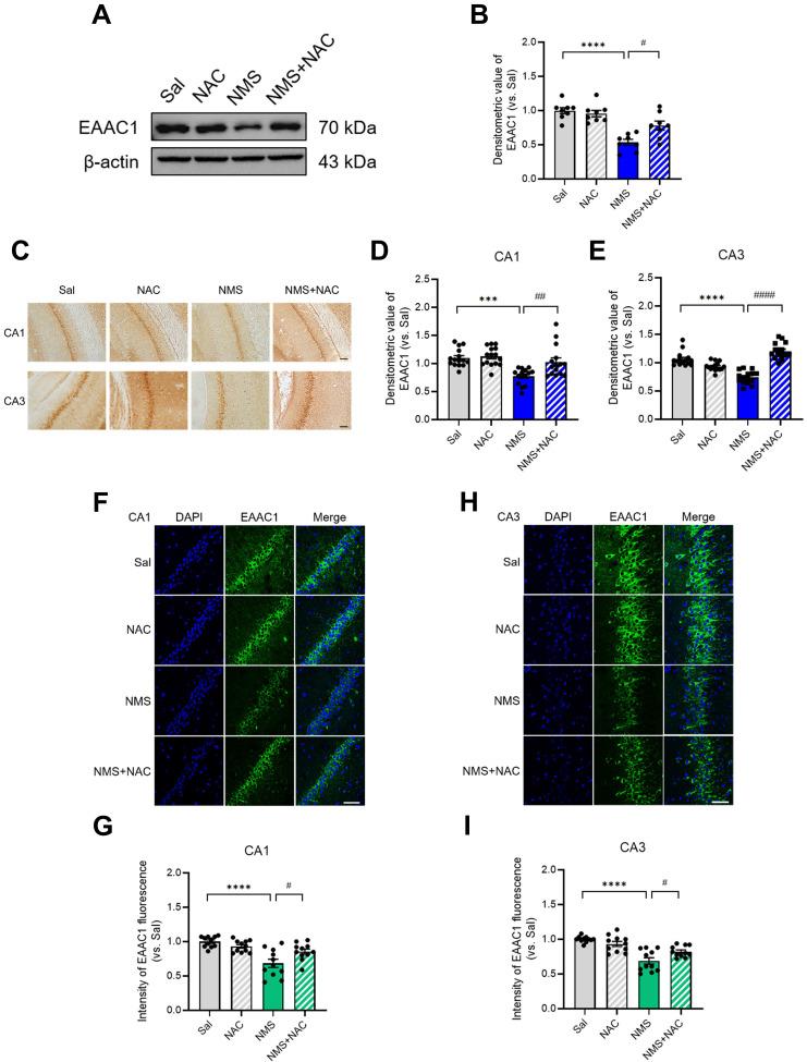 https://cdn.ncbi.nlm.nih.gov/pmc/blobs/99da/11528454/73a229fc57b8/ijbsv20p5450g010.jpg