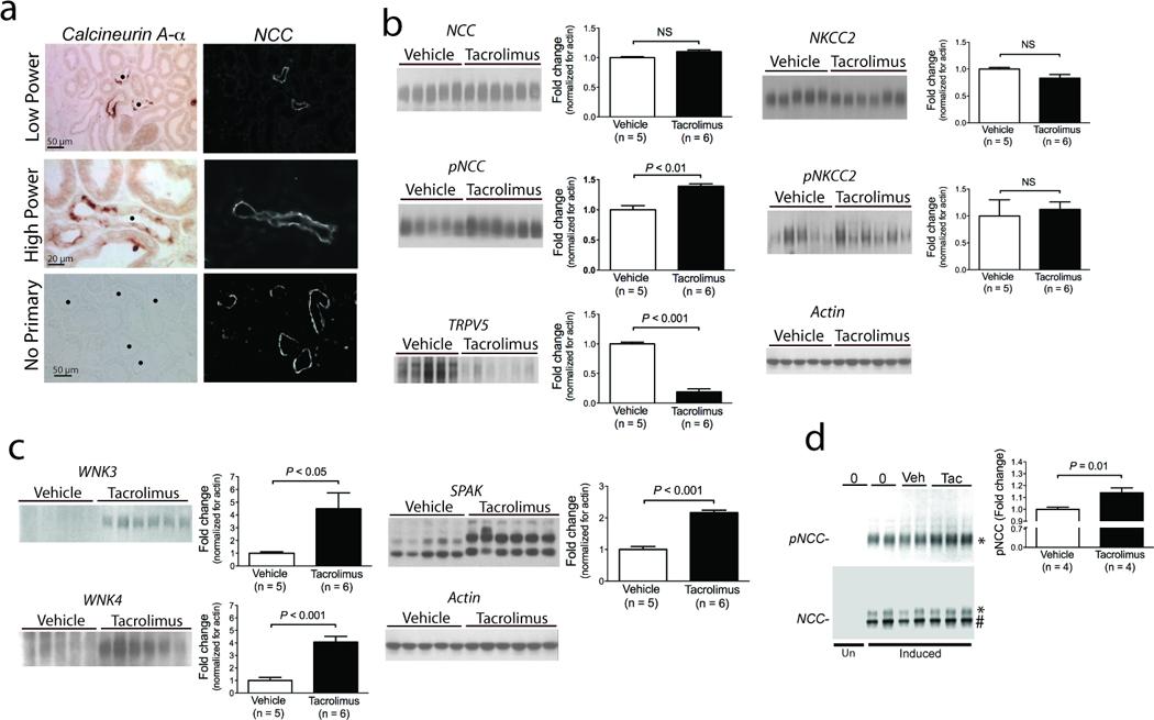 https://cdn.ncbi.nlm.nih.gov/pmc/blobs/99dd/3192268/44a414a80fce/nihms311978f2.jpg