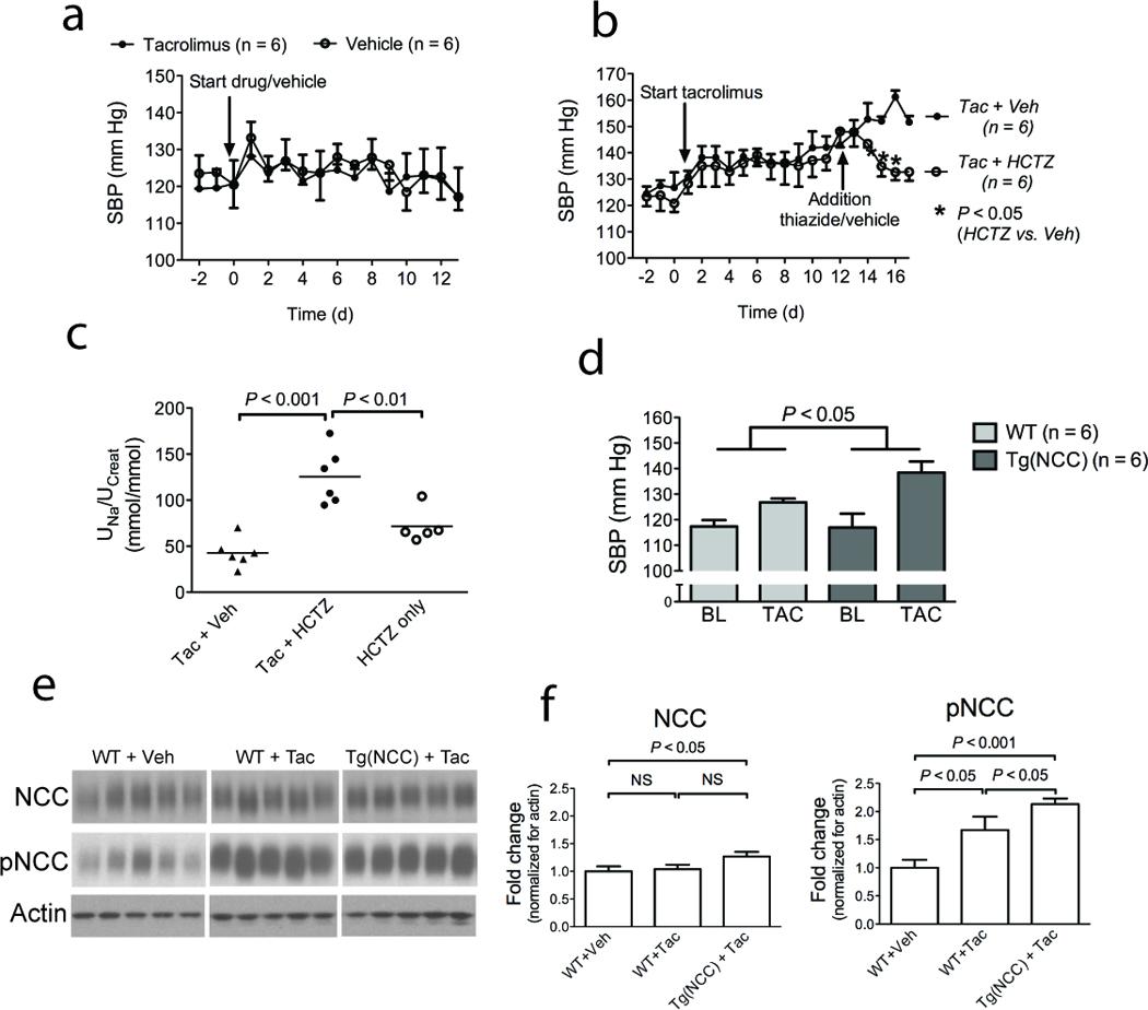 https://cdn.ncbi.nlm.nih.gov/pmc/blobs/99dd/3192268/f8d7b769525e/nihms311978f3.jpg