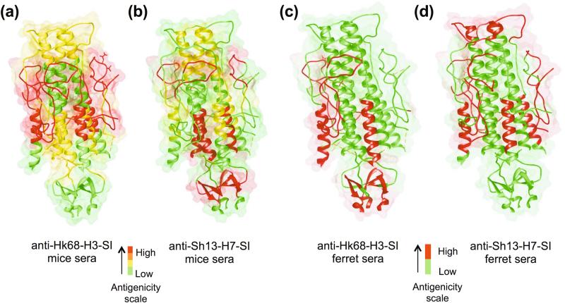 https://cdn.ncbi.nlm.nih.gov/pmc/blobs/99dd/5732283/3701da8b5139/41541_2017_36_Fig6_HTML.jpg