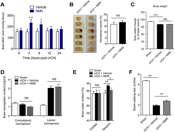 https://cdn.ncbi.nlm.nih.gov/pmc/blobs/99e1/5429727/97e07954a5d0/41598_2017_851_Fig1_HTML.jpg