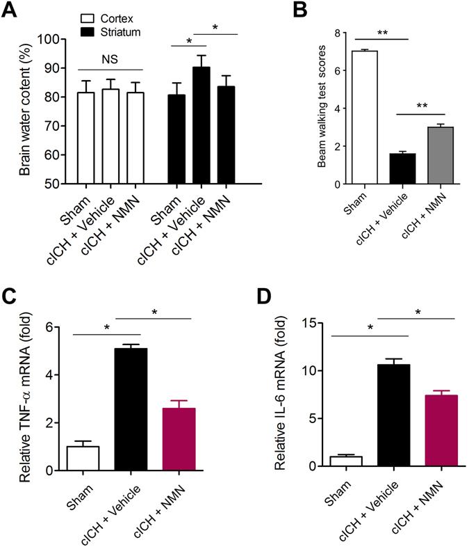 https://cdn.ncbi.nlm.nih.gov/pmc/blobs/99e1/5429727/a42d551b4ea4/41598_2017_851_Fig7_HTML.jpg