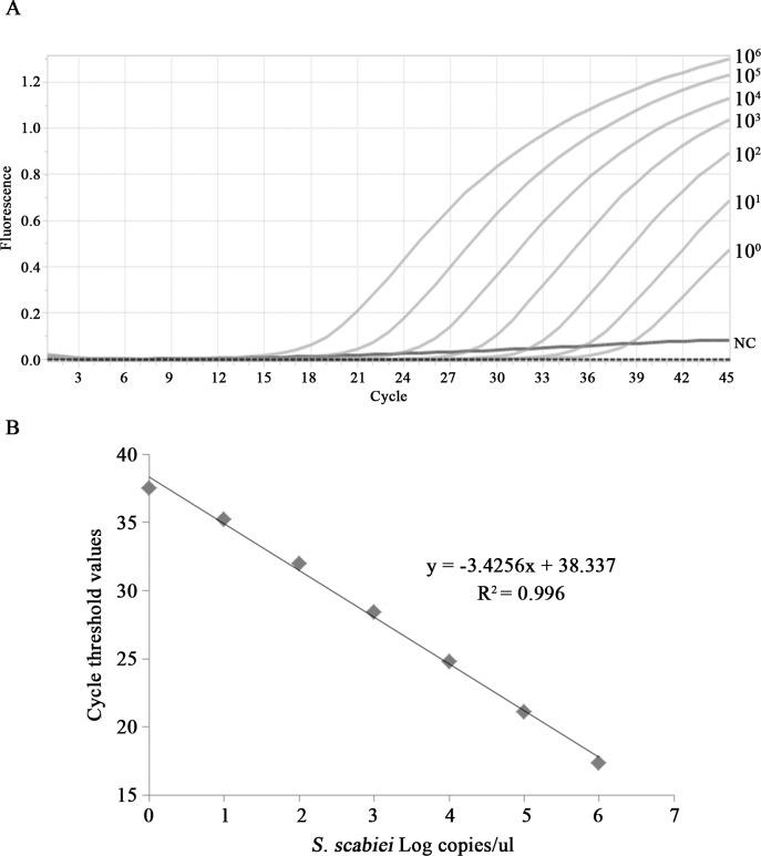 https://cdn.ncbi.nlm.nih.gov/pmc/blobs/99e2/7164670/45584ba57e59/pntd.0008229.g002.jpg