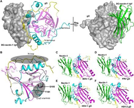 https://cdn.ncbi.nlm.nih.gov/pmc/blobs/99e3/7220272/d3f77dd7a7b6/aba5147-F3.jpg