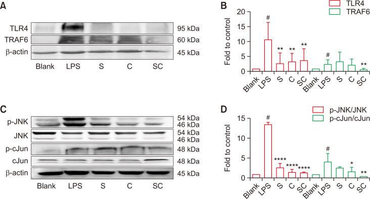 https://cdn.ncbi.nlm.nih.gov/pmc/blobs/99e4/9810444/37adcfad3107/bt-31-1-27-f7.jpg