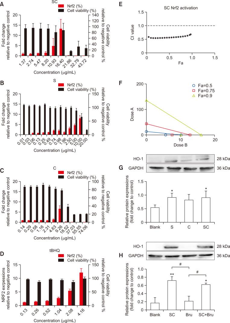 https://cdn.ncbi.nlm.nih.gov/pmc/blobs/99e4/9810444/455a1aa93afe/bt-31-1-27-f4.jpg
