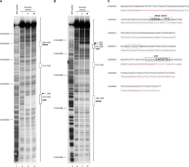 https://cdn.ncbi.nlm.nih.gov/pmc/blobs/99e7/2528168/e10f457610a2/gkn444f7.jpg