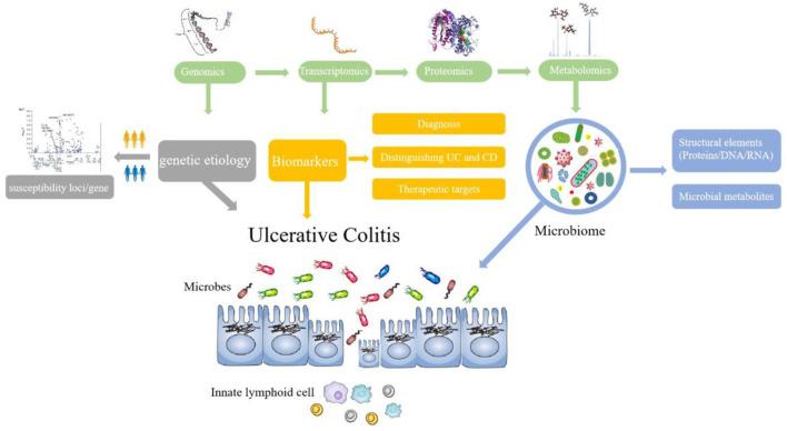 https://cdn.ncbi.nlm.nih.gov/pmc/blobs/99eb/10083299/612912b920b8/fmed-10-1115240-g0009.jpg