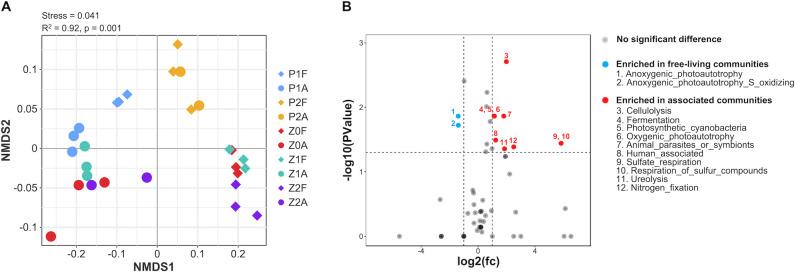 https://cdn.ncbi.nlm.nih.gov/pmc/blobs/99eb/12131754/fc7d8d5db3a7/spectrum.02451-24.f008.jpg