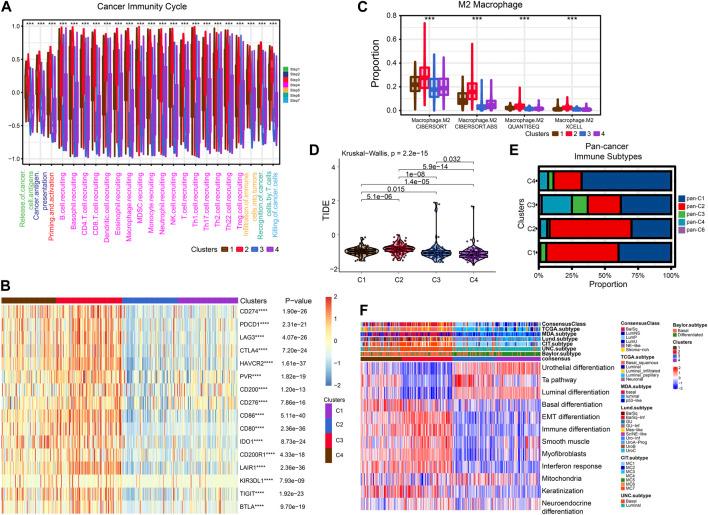 https://cdn.ncbi.nlm.nih.gov/pmc/blobs/99ec/10119429/6479dfbc584e/fgene-14-1097179-g005.jpg