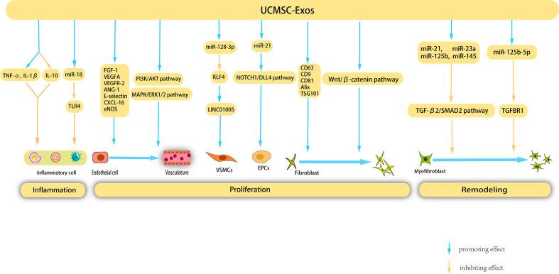 https://cdn.ncbi.nlm.nih.gov/pmc/blobs/99ec/10486026/b859435beca7/fimmu-14-1256687-g004.jpg