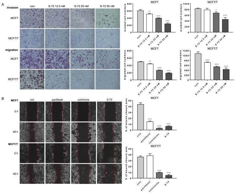 https://cdn.ncbi.nlm.nih.gov/pmc/blobs/99ed/10221130/ab690b44a41c/pharmaceuticals-16-00749-g002.jpg