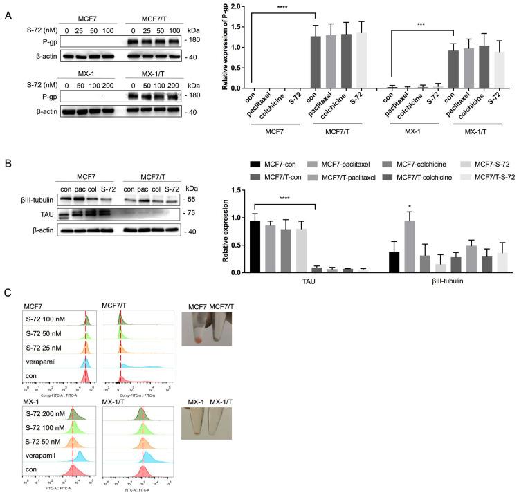 https://cdn.ncbi.nlm.nih.gov/pmc/blobs/99ed/10221130/b8716d47e4f0/pharmaceuticals-16-00749-g005.jpg