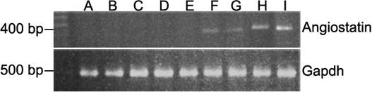 https://cdn.ncbi.nlm.nih.gov/pmc/blobs/99ed/2533034/c530a4fb768f/mv-v13-133-f1.jpg
