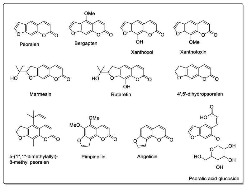 https://cdn.ncbi.nlm.nih.gov/pmc/blobs/99f0/12029527/110dc9ff997b/molecules-30-01676-g009.jpg