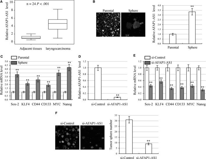 https://cdn.ncbi.nlm.nih.gov/pmc/blobs/99f0/6111816/318993e6f03e/JCMM-22-4253-g001.jpg