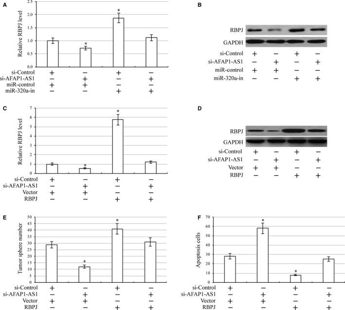 https://cdn.ncbi.nlm.nih.gov/pmc/blobs/99f0/6111816/c7102fda0e5f/JCMM-22-4253-g006.jpg