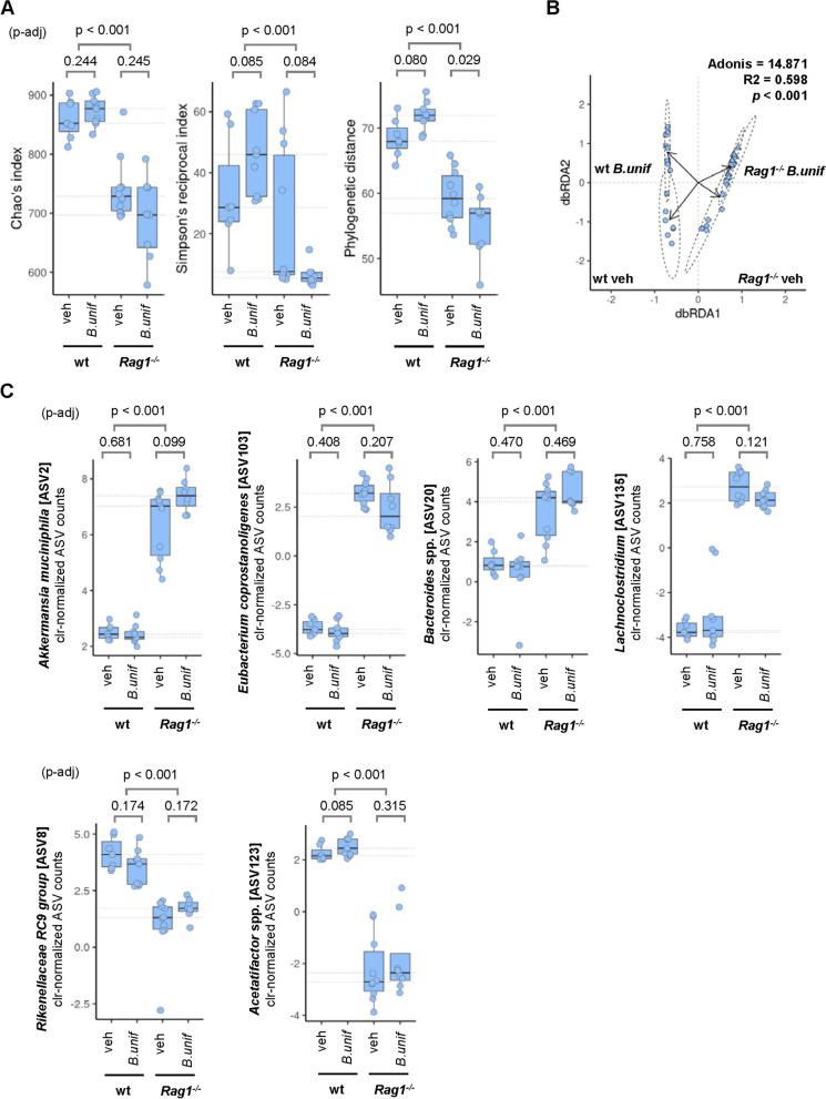https://cdn.ncbi.nlm.nih.gov/pmc/blobs/99f1/11155119/46648d239674/40168_2024_1810_Fig5_HTML.jpg
