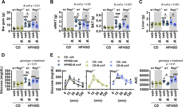 https://cdn.ncbi.nlm.nih.gov/pmc/blobs/99f1/11155119/6e246b61d3a5/40168_2024_1810_Fig3_HTML.jpg