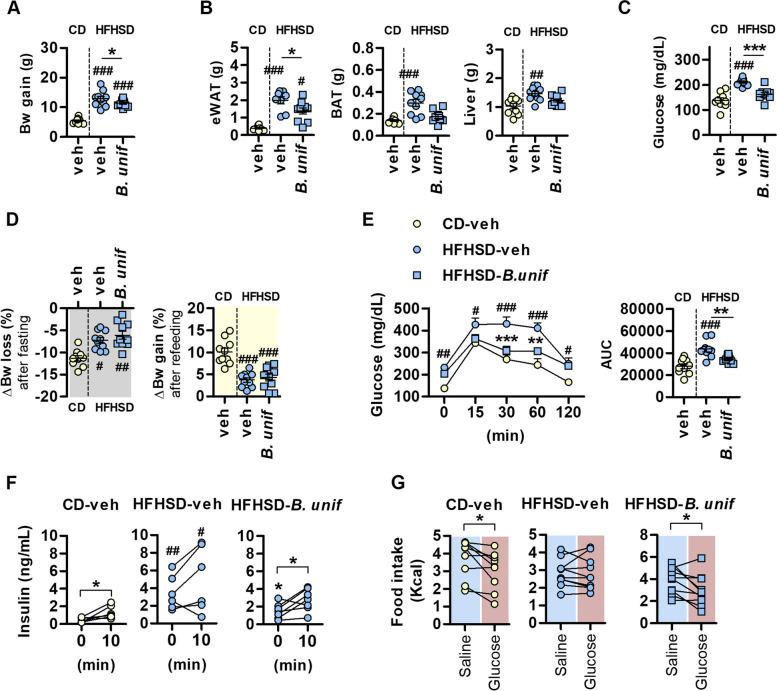 https://cdn.ncbi.nlm.nih.gov/pmc/blobs/99f1/11155119/ff014800f14b/40168_2024_1810_Fig1_HTML.jpg