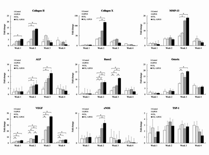 https://cdn.ncbi.nlm.nih.gov/pmc/blobs/99f1/11523825/1fc408769e79/12891_2024_7976_Fig6_HTML.jpg
