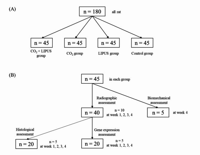 https://cdn.ncbi.nlm.nih.gov/pmc/blobs/99f1/11523825/2b760e19b1d4/12891_2024_7976_Fig2_HTML.jpg