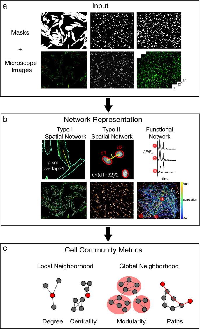 https://cdn.ncbi.nlm.nih.gov/pmc/blobs/99f2/9191702/3f7519ef6cb4/pcbi.1009846.g001.jpg